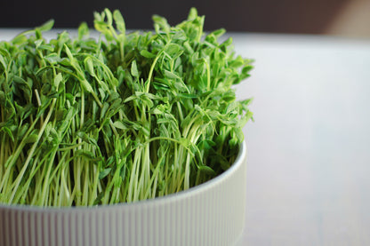 Pea Sprouts