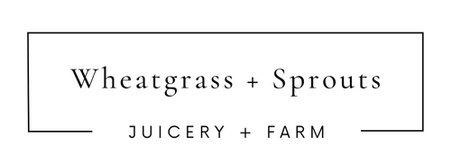 Wheatgrass + Sprouts